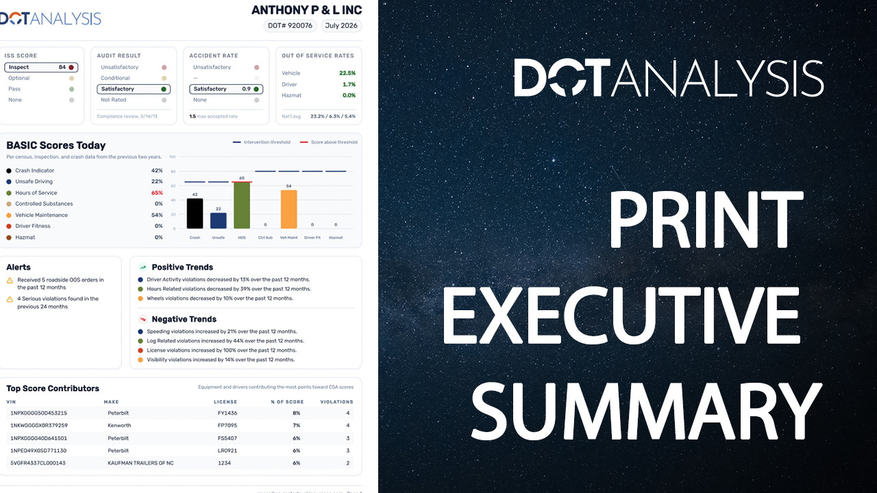 Print the Executive Summary